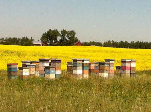 Honey Meadows Farm Inc
